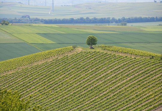 e-bike-tour-greifenberg