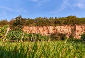 20170828_D800_9911_2000px