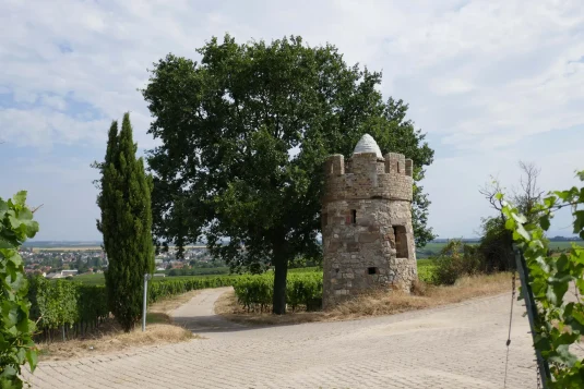 Wingertsheisjerweg Westhofen Juliusturm