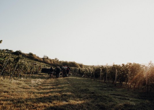 Weinbergswanderung &copy; Weingut Braunewell