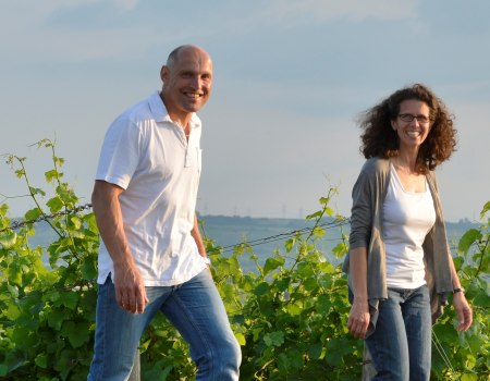 Weingut D&auml;twyl_Weinberg, &copy; Weingut D&auml;twyl