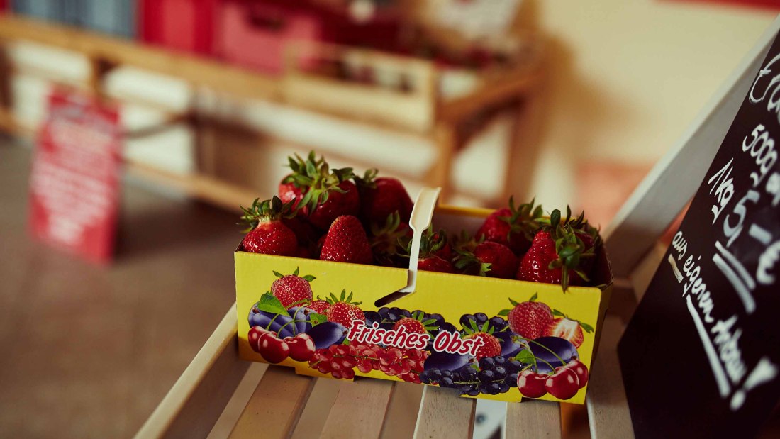 eckert4, &copy; Eckert Dreimorgenhof