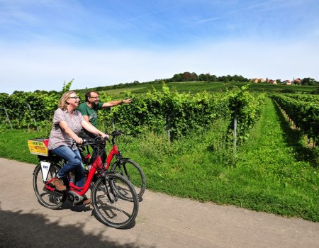 Auf dem Zellertalradweg, &copy; Carsten Costard
