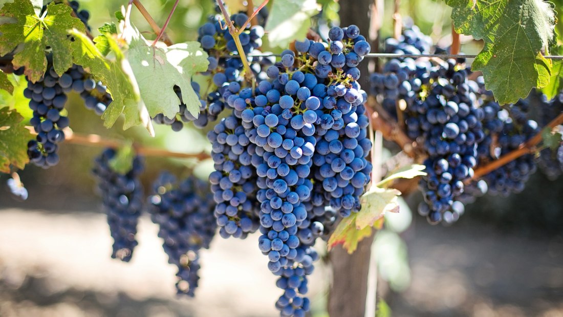 &copy; Weingut Egelhoff