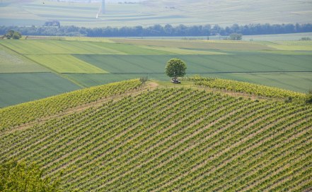 e-bike-tour-greifenberg