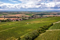 Sörgenlocher Moosberg