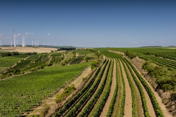 Alsheimer Römerberg, © Torsten Silz