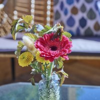 FichtelgruenFichtelgruen_GIP3070_AdobeRGB_1600px