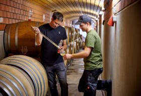 Weingut Manz