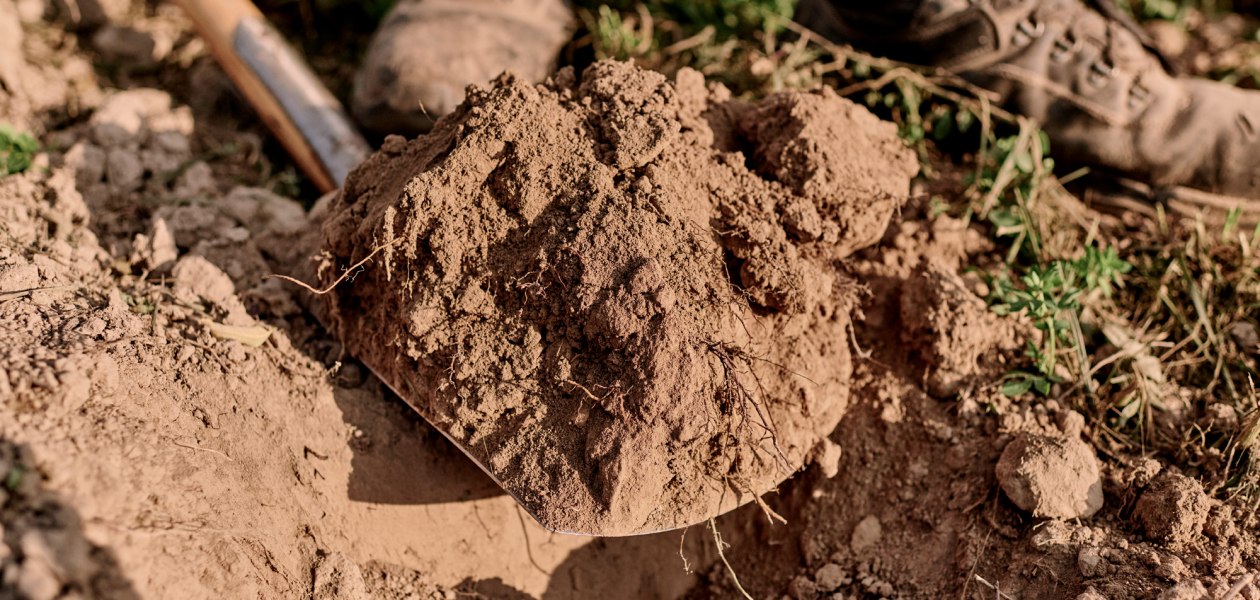 &copy; Weingut Sander