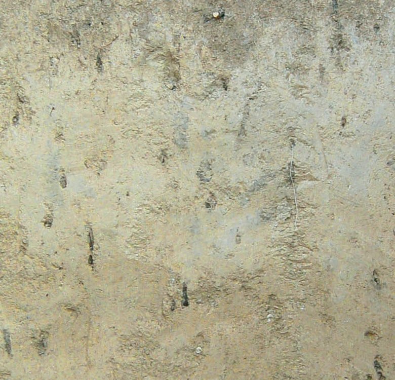 Loess Pararedzina