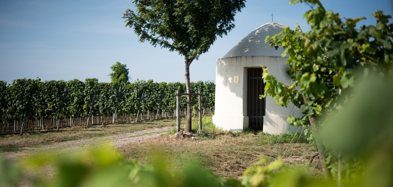 4, &copy; Weingut Kaltenthaler