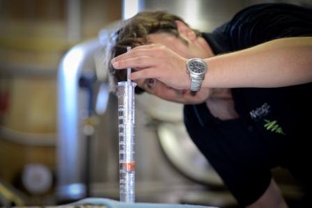 Nehrba&szlig;048-1, &copy; Weingut & Brennerei Otto Nehrba&szlig;