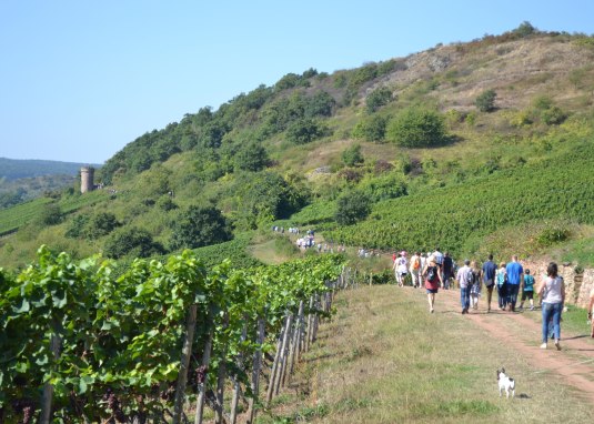 B&auml;nkelches Route