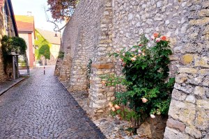 Kirchenmauer Eppelsheim