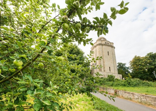 Bismarckturm Ingelheim &copy; Dominik Ketz