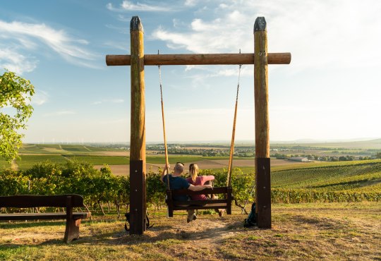 Wingertsschaukel Rheinhessen, &copy; Dominik Ketz