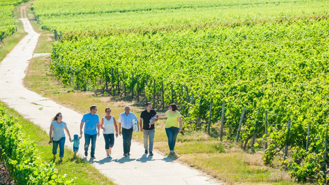 wgt-hammen-1, © Weingut Hammen