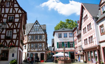Kirschgarten in der Altstadt