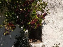Trullo Monsheimer Hohl &copy; VG Monsheim