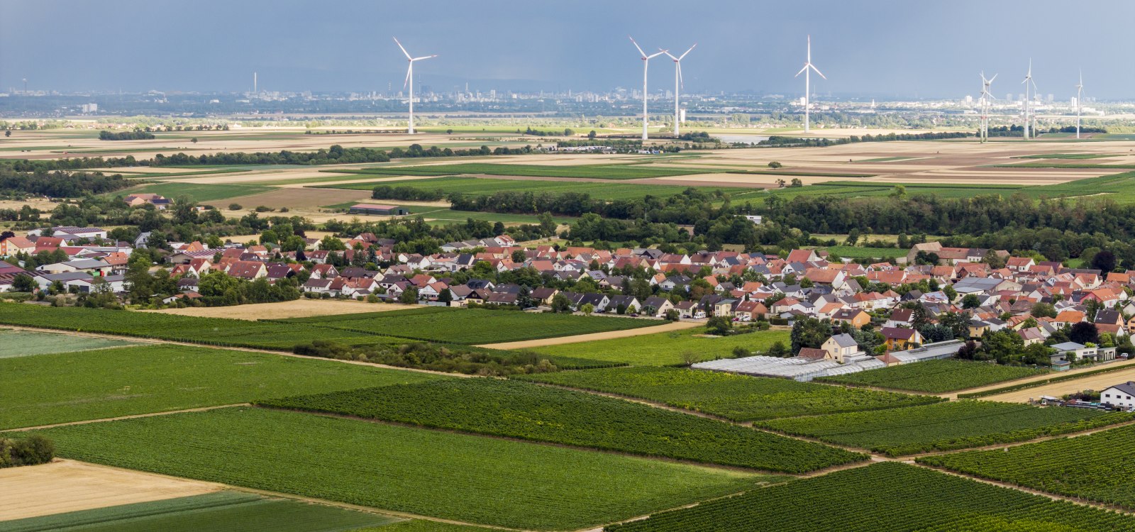 Heppenheimer Affenberg, &copy; Torsten Silz