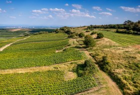 Dittelsheimer Kloppberg