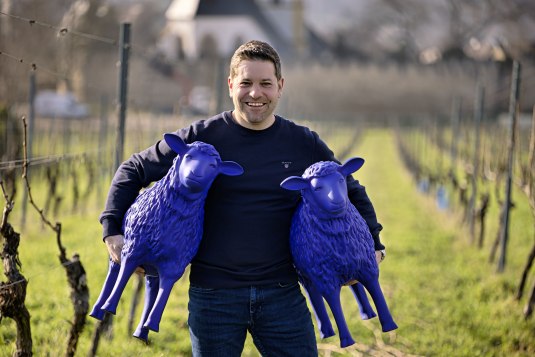 Blaue Schaf mit Kristian Dautermann