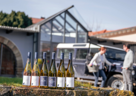 Eventkalender Deskline - 2026-01-26T095236.891