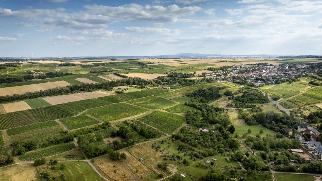 Partenheimer Sankt Georgen, &copy; Torsten Silz