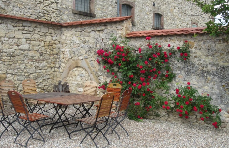 Vereinigte Weing&uuml;ter Spindler und M&ouml;llinger_Weingut Spindler Garten, &copy; Vereinigte Weing&uuml;ter Spindler und M&ouml;llinger