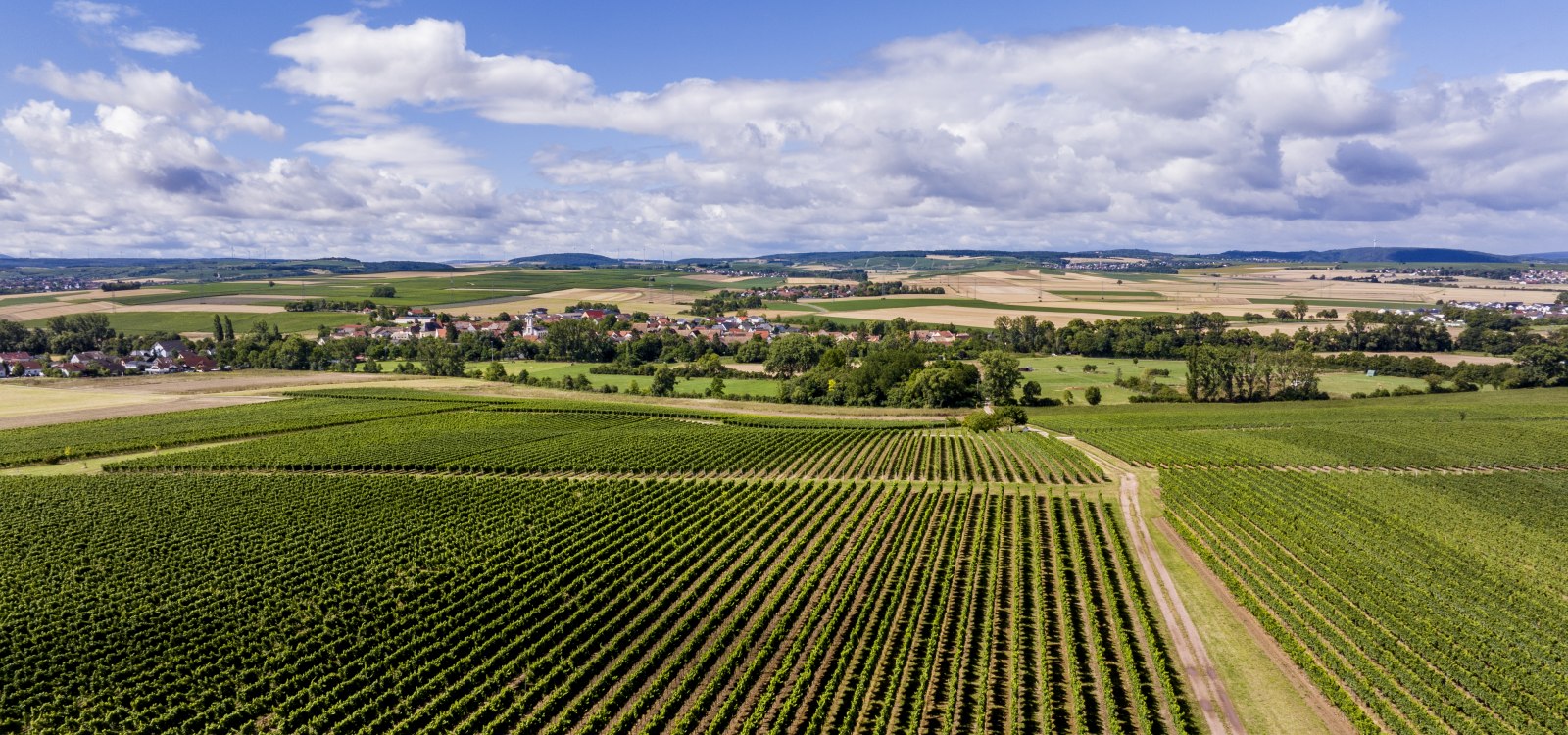 Badenheimer Galgenberg