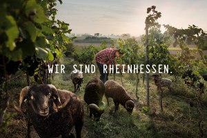 Titelfoto Wir sind Rheinhessen, &copy; David Maupil&eacute;