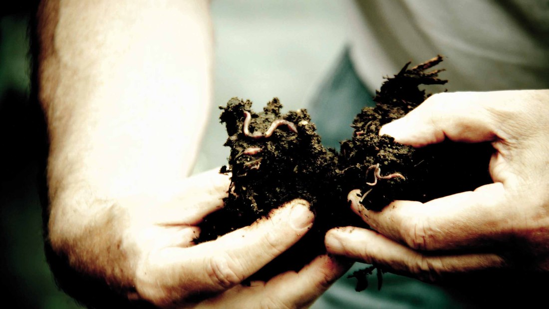 Weingut Espenhof_Kompost, &copy; Weingut Espenhof