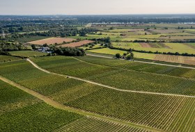 Bodenheimer Mönchspfad