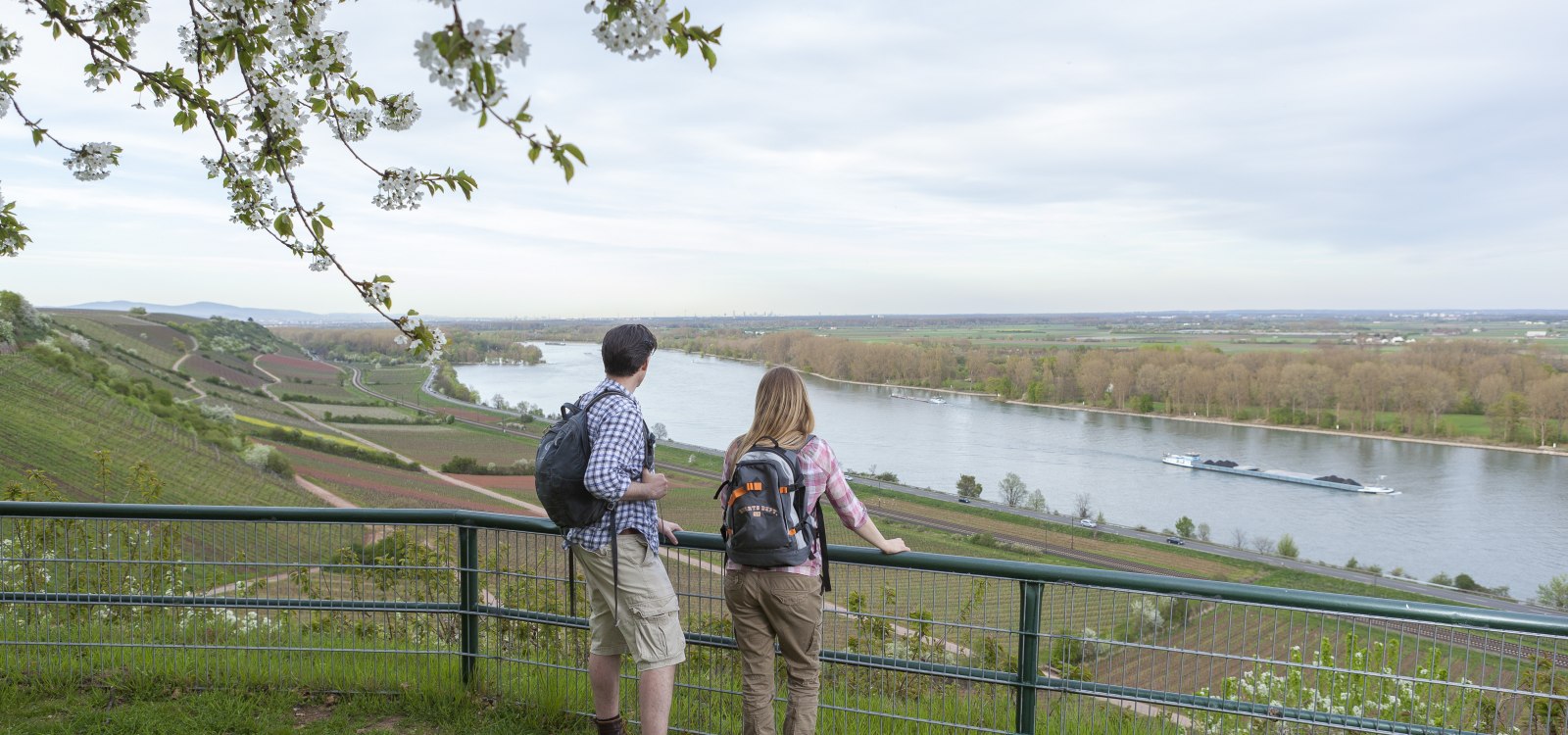 Wandern am Rheinterrassenweg, © Michael Zellmer
