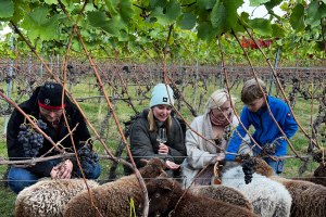 Marie von den Benken im Weingut Buscher, &copy; Marie von den Benken