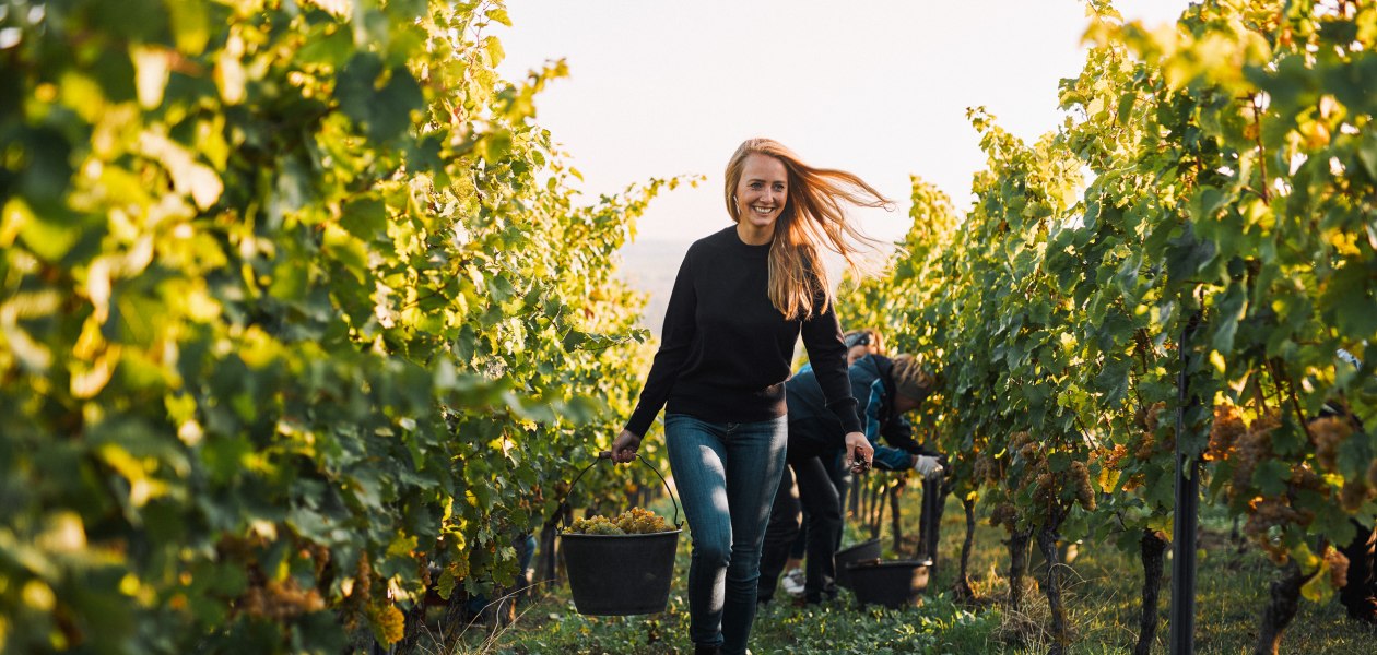 © Juwel Weine, Peter Bender