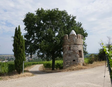 Vineyard cottage