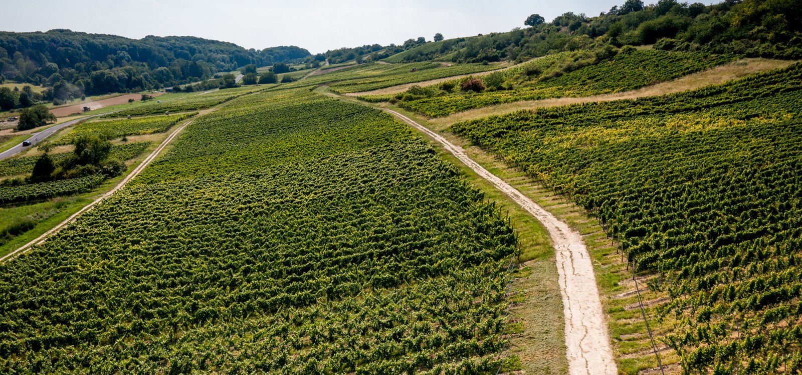 Jugenheimer Goldberg