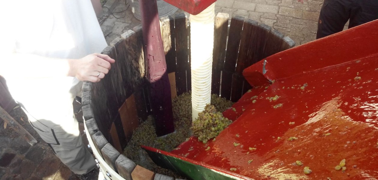 059, &copy; Weingut Tobias Hahn