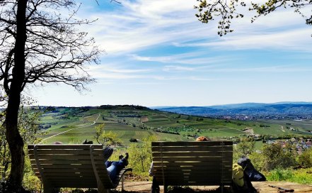 Immer wieder Bänke, um das Panorama entspannt zu genießen