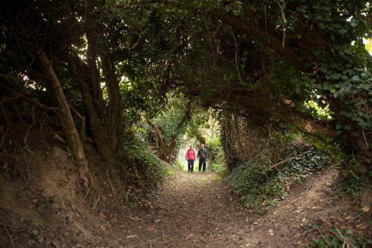 Hollow paths at Alsheim, &copy; &copy; Daniel Schmidt