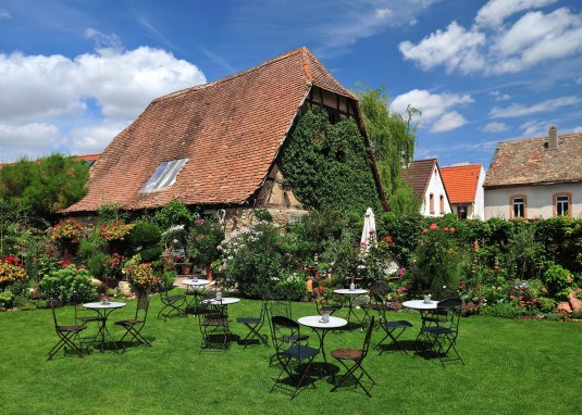 Augenwaide &copy; VG Monsheim, Fotograf Carsten Costard