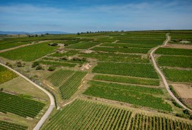 Groß-Winternheimer Bockstein