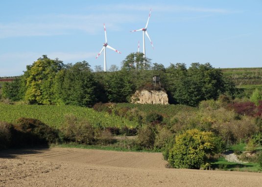 Steinkaut &copy; by inMEDIA