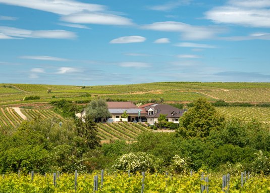 Weingut Machmer &copy; Oliver Bauer