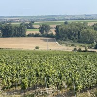 IMG_1243