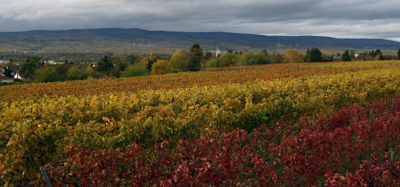 Nieuwe Andreas dorst, &copy; Andreas dorst