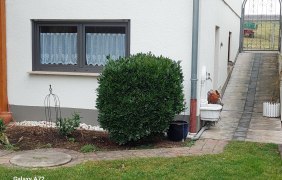 Gartenansicht