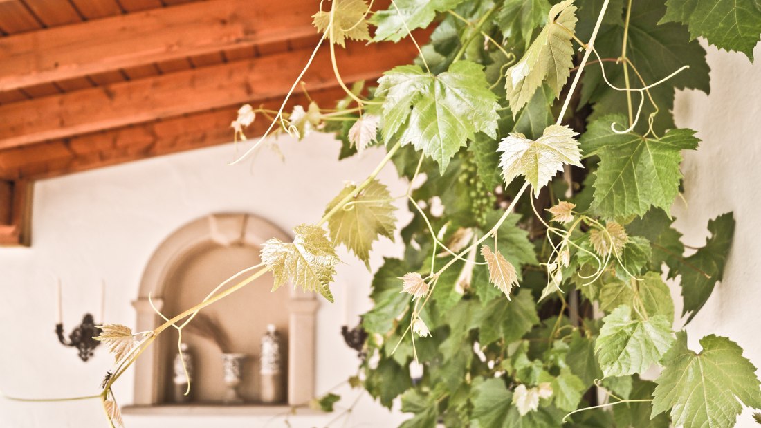 &copy; Weingut Christ